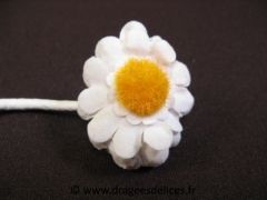 Marguerite pour décoration de mariage, baptême et communion Blanc