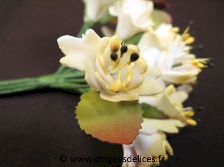 Œillet pas cher en mousse avec feuille en papier pour décoration : Œillet pas cher en mousse avec feuille en papier pour décoration