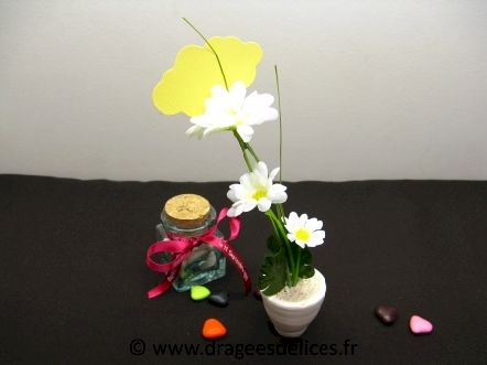 Pot marguerite