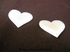 Coeurs en satin Blanc