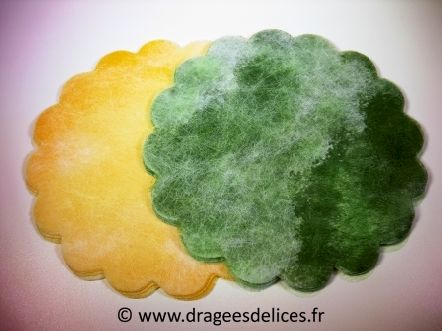 Tulle en polytulle pour dragées bicolore