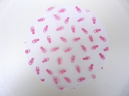 Lot de 10 tulles floqués tétines pour baptême