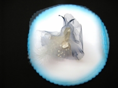 Tulle à dragées bord teinté pour mariage baptême et communion Turquoise