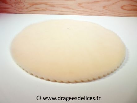 Tulle à dragées unis pas cher : Tulle à dragées unis pas cher ivoire