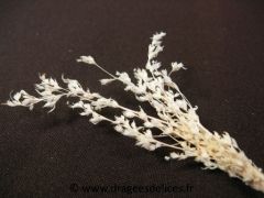 Tige de brins naturel pour décorations sur le thème nature Naturel