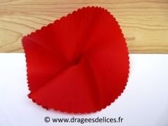Rond de tulle à dragées en satin brillant Rouge