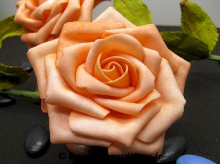 Grande rose