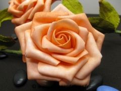 Grande rose 