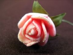 Fleur rose de chine en mousse avec feuilles verte pour décoration Fuchsia