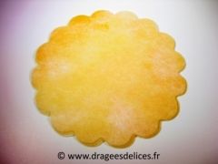 Tulle en polytulle pour dragées bicolore Jaune
