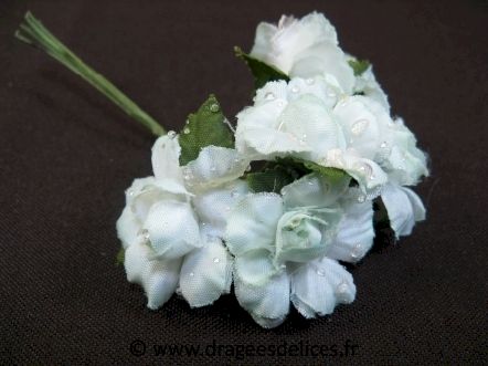 Eglantine fleur avec gouttes de rosée pour décoration