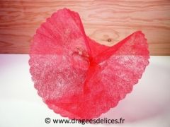 Rond de tulle dragées intissé unis pour dragées Bordeaux