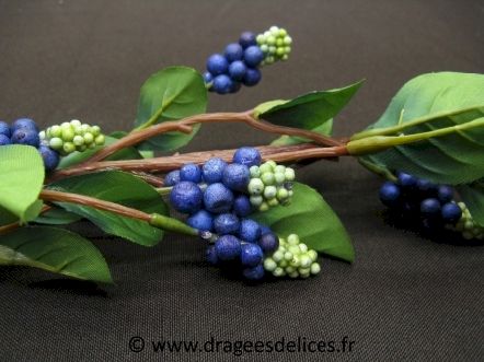 Grande branche de baies