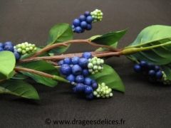 Grande branche de baies Bleu
