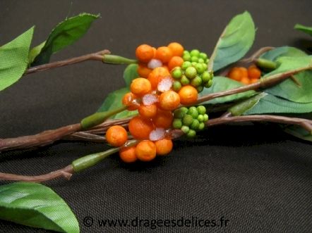 Grande branche de baies