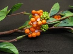 Grande branche de baies Orange