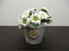 Bouquet de marguerites Blanc
