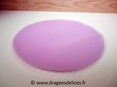 Lot de 20 ronds en tulle unis Parme