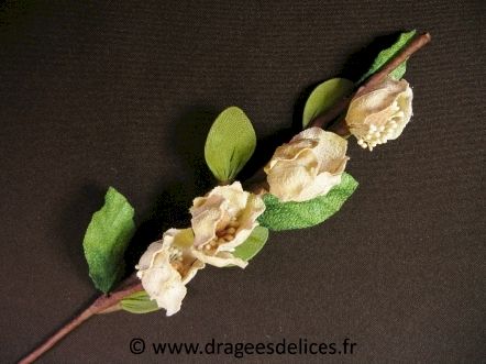 Fleur Stéphanie