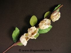Fleur Stéphanie Ecru