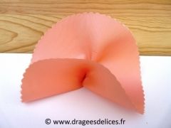 Rond de tulle à dragées en satin brillant Saumon