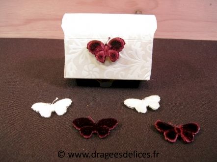 Papillon en velour