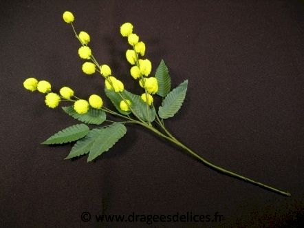 Lot de 5 brins de mimosa pour déco ou scrapbooking