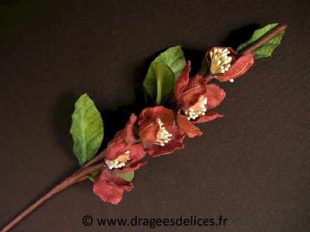 Fleur Stéphanie