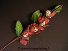 Fleur Stéphanie Bordeaux
