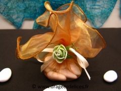 Voile brillant frou frou pour dragées Chamois