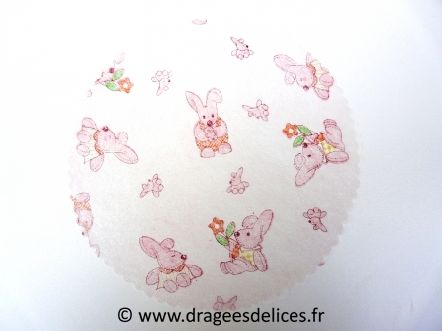 Rond de tulle intissé lapin pour baptême fille : Tulle pour dragées baptême