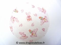 Rond de tulle intissé lapin pour baptême fille Rose