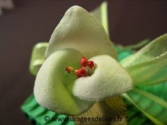Glaïeul en mousse avec feuille pour décoration Vert d