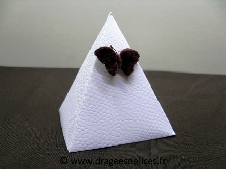 Boite pyramide pour dragées collection lézard