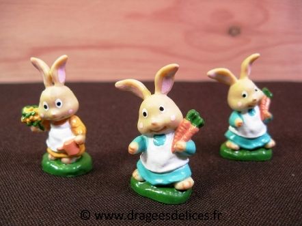 Petit lapin