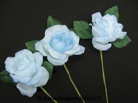 Grande rose