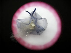 Tulle à dragées bord teinté pour mariage baptême et communion Cassis
