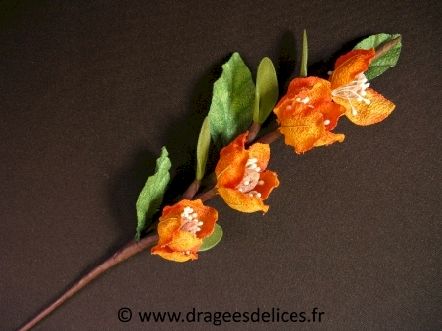Fleur Stéphanie