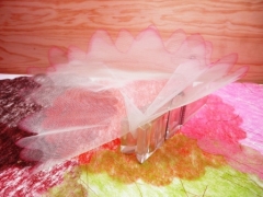 Tulle bord fumé en pointe pour mariage baptême et communion Fuchsia