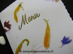 Menu fleur et fougère 