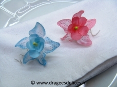 Orchidée  Bleu