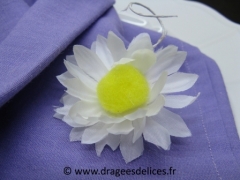 Grosse marguerite 