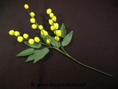 Lot de 5 brins de mimosa pour déco ou scrapbooking 