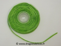 Rouleau de ruban raphia Vert menthe