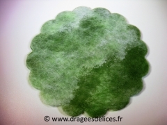 Tulle en polytulle pour dragées bicolore Vert