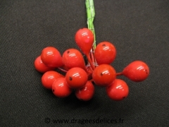 Baies déco Rouge