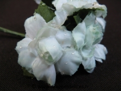 Eglantine fleur avec gouttes de rosée pour décoration 