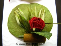 Feuille naturelle avec fleur et bâton de cannelle pour décoration Rouge