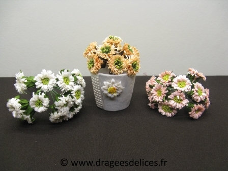 Bouquet de marguerites