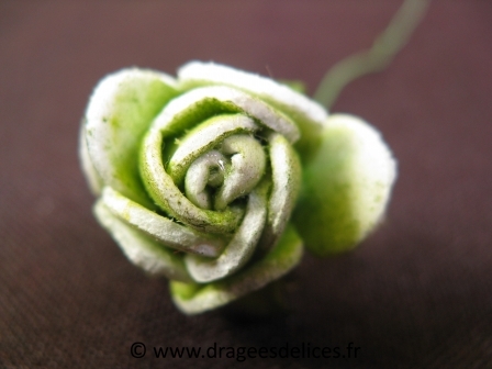 Fleur rose de chine en mousse avec feuilles verte pour décoration : Fleur rose de chine verte en mousse avec feuilles verte pour décoration